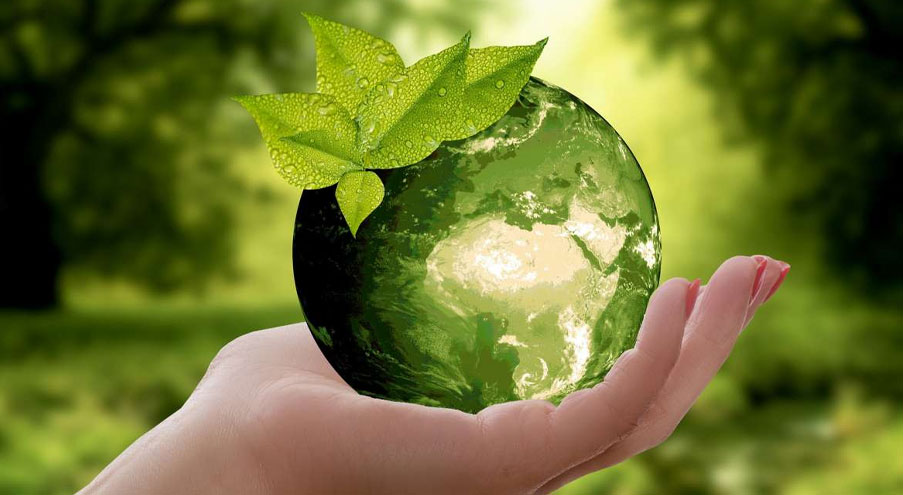 eco-friendly-materials-such-as-paper